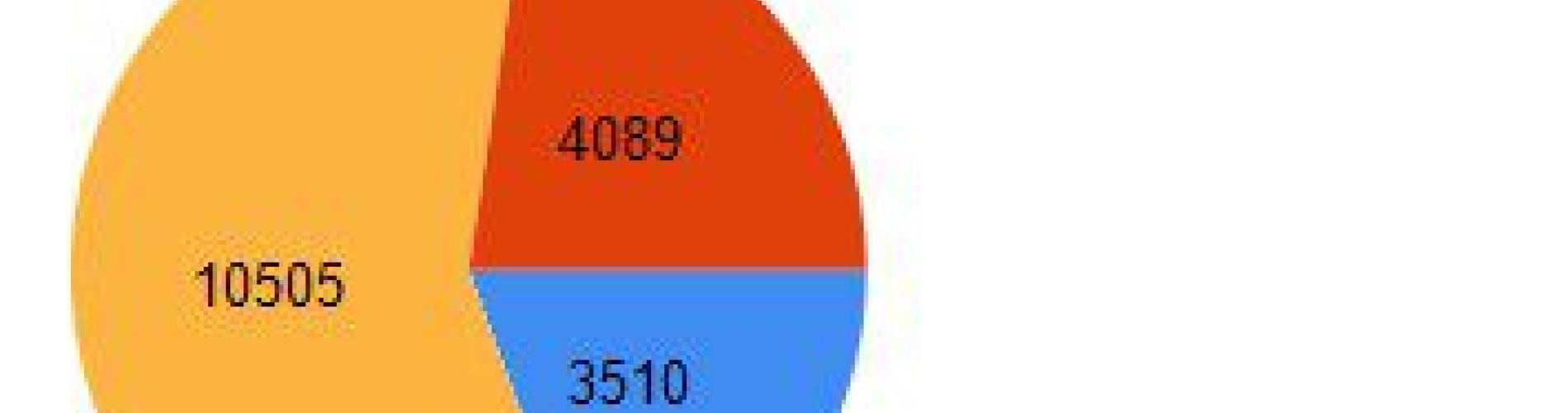 IGEL Thin Client Planning report