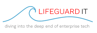 lifeguardlogotransparent