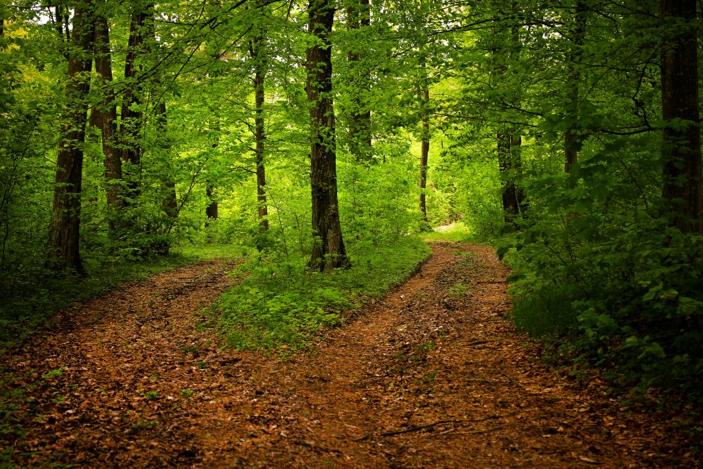 path