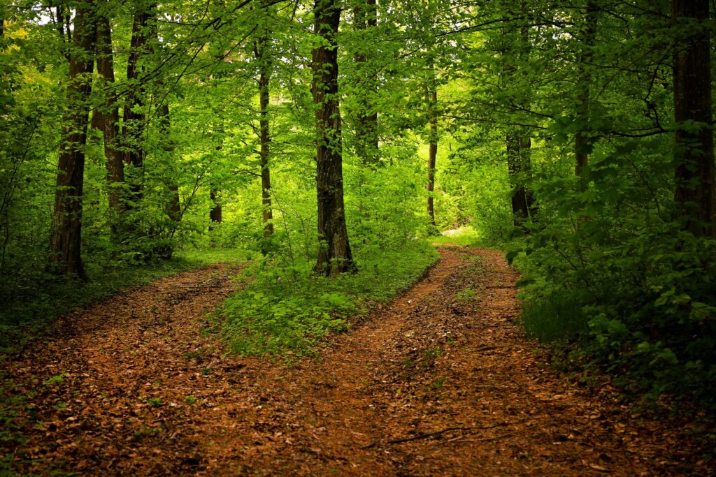path