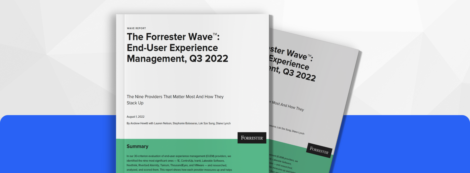 Grafische Darstellung einer Attrappe des Forrester Wave-Berichts.