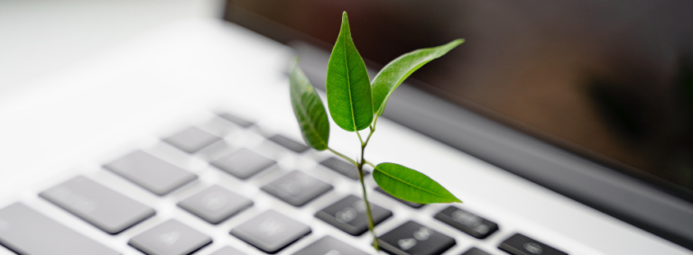 Growing Green IT Initiatives: How to Make Operations and Infrastructure More Sustainable