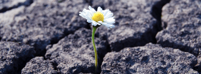 How to Build Up IT Resilience with Proactive DEX Management