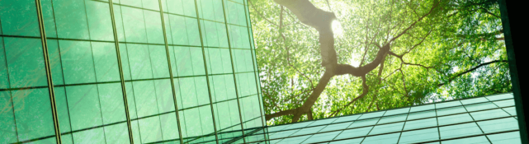 5 Elements of Reporting to Your Enterprise Board of Sustainable IT